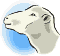 Lamb