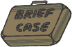 Brief Case